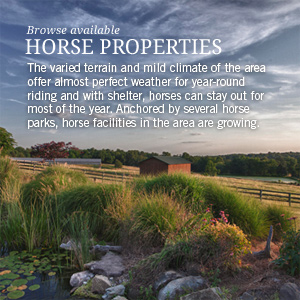 Browse available horse farms in the area.