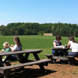 Maple View Farms
